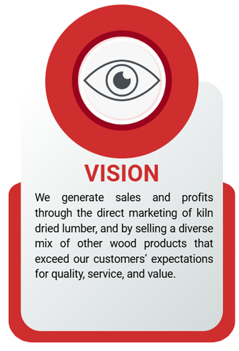 Vision