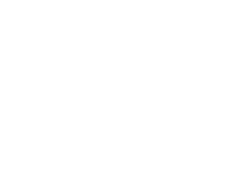Rapid response icon