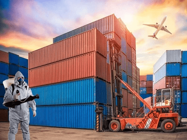 Professional pest management services from Misarma Enterprise