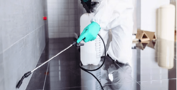 Pest control services from Misarma Enterprise